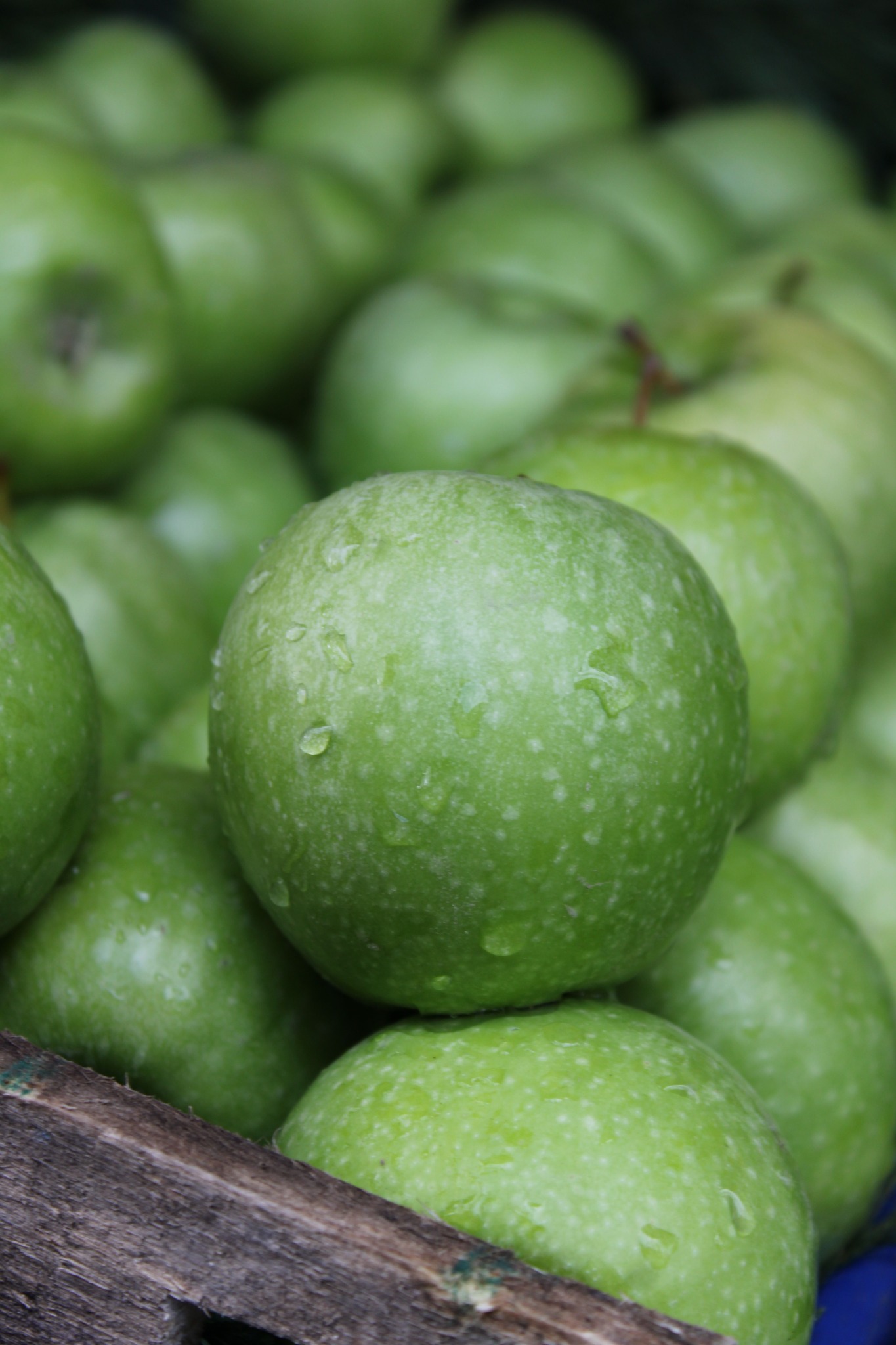 Manzanas de la finca de El Lagar de Valleseco®